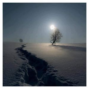 Meet your Posher, Myrnalucero